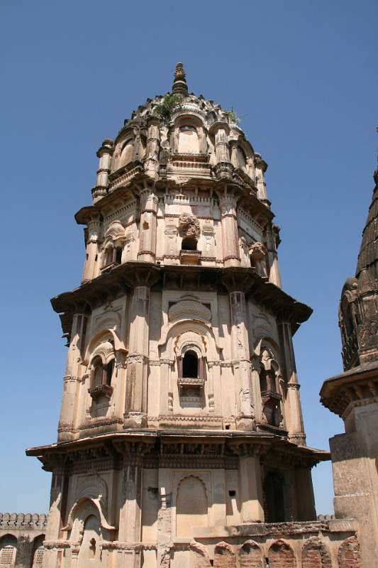 India & Nepal 2011 - 1104